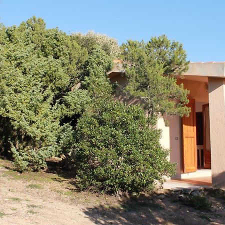 Rena Garden Apartments Santa Teresa Gallura Buitenkant foto